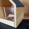 Modernes Vogelhaus
